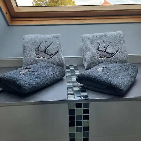 Au Bonheur Des Hirondelles Kirrwiller