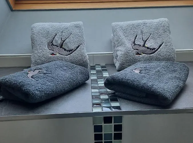 Au Bonheur Des Hirondelles Kirrwiller